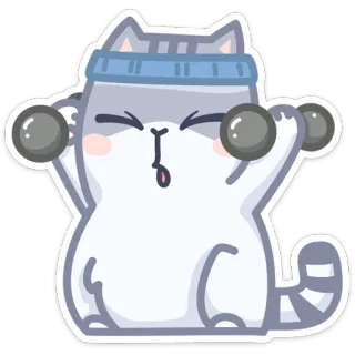 💪 gato, exercício, musculação, fofo, fitness, haltere whatsapp sticker