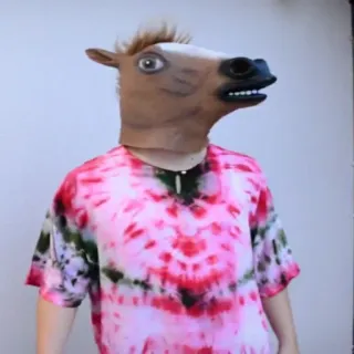 🐴 horse, mask, tie-dye, costume, funny, animal, head whatsapp sticker
