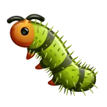 🐛