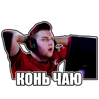 🤩 КОНЬ ЧАЮ telegram sticker