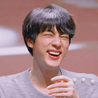 🐹 Jin Jin, BTS, K-Pop, Idol, Sänger, Künstler, Unterhaltung, Promi telegram sticker