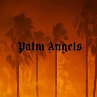 🧡 Palm Angels Palm Angels, fashion, clothing brand, palm trees, orange background telegram sticker