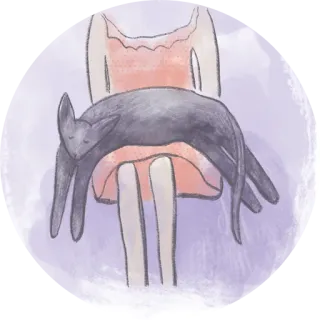 🤤 cat, sleeping cat, animal, pet, domestic animal, relaxed whatsapp sticker