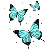 🦋