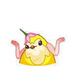 Birds whatsapp stickers