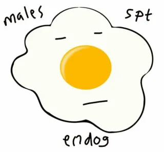 🍳 males spt endog ไข่, การ์ตูน, อาหาร, ไข่แดง, ภาพวาด, ภาพประกอบ telegram sticker