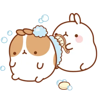 Molang whatsapp stickers