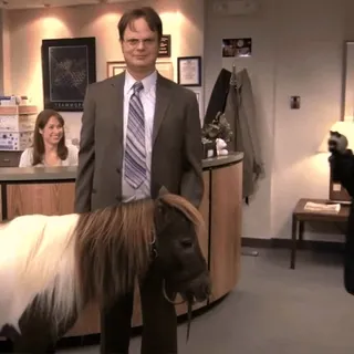 😬 Dwight Schrute The Office pony, office, television, comedy, animal, workplace telegram sticker
