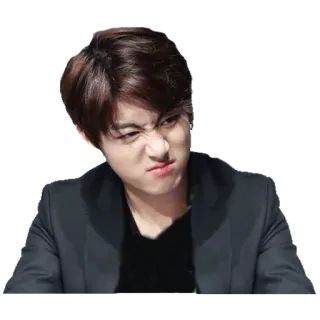 😠 Jeon Jungkook kpop, bts, jungkook, sänger, idol, portrait telegram sticker