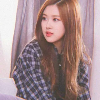 🌹 Rose rosa, K-pop, cantante, mujer, franela, morena telegram sticker