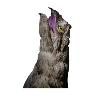 😏 chim potoo, chim, động vật, động vật hoang dã, ăn đêm, ngụy trang telegram sticker