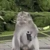 😮💨