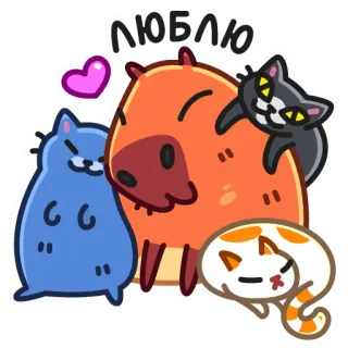 ❤️ люблю คาปิบารา, แมว, ความรัก, น่ารัก, สัตว์, มิตรภาพ telegram sticker