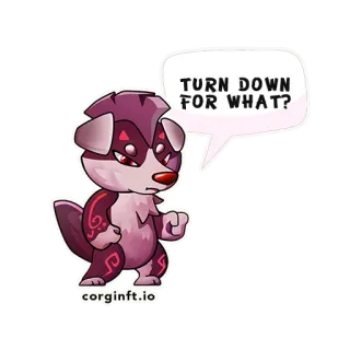 😃 TURN DOWN FOR WHAT? chó, meme, hài hước, hoạt hình, động vật, corginft.io telegram sticker