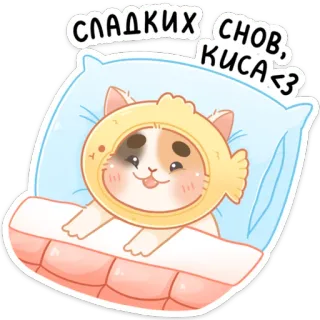 😴 СЛАДКИХ СНОВ, КИСА <3 gato, durmiendo, almohada, gorro de pez, buenas noches, lindo whatsapp sticker