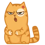 👊 chat, en colère, orange, animal, dessin animé whatsapp sticker