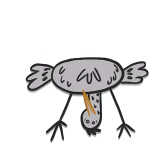 🙃 uccello, sottosopra, cartone animato, grigio, animale, divertente telegram sticker