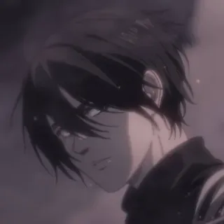 🤨 Mikasa Ackerman Attack on Titan Anime, Charakter, Mikasa, Attack on Titan, Manga telegram sticker