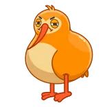 🤦‍♂️ kiwi, burung, hewan, kartun, oranye, mata whatsapp sticker