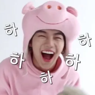 🐷 하 uomo, maiale, ridere, felice, carino whatsapp sticker