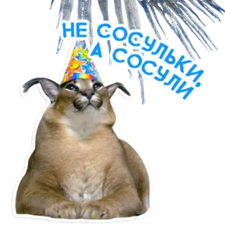 Большой Петербургский кот whatsapp stickers