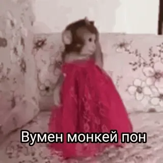😿 Вумен монкей пон scimmia, vestito, divertente, donna, bambola telegram sticker