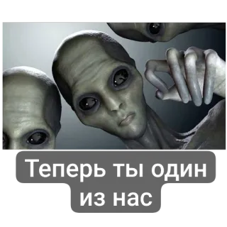 ✋ Теперь ты один из нас telegram sticker