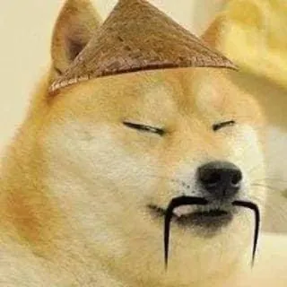 😂 doge, chó, meme, châu á, mũ, hài hước, meme internet telegram sticker