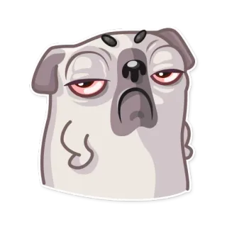 ☹ carlin, chien, défoncé, fatigué, paresseux, dessin animé, autocollant whatsapp sticker