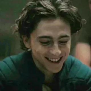 😐 Timothée Chalamet, actor, celebrity, portrait telegram sticker