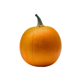 🎃 Kürbis, Orange, Gemüse, Herbst, Halloween whatsapp sticker