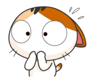 😱 gato, fofo, surpreso, desenho animado, adesivo, anime, kawaii telegram sticker