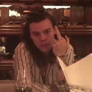 🖕 Harry Styles middle finger, offensive gesture, celebrity, singer, harry styles telegram sticker