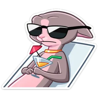 😎 Tier, Katze, Sonnenbrille, Entspannung, Getränk, Cartoon whatsapp sticker