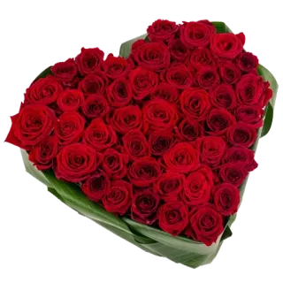 ❤️ กุหลาบ, หัวใจ, ดอกไม้, สีแดง, ความรัก, โรแมนติก, ช่อดอกไม้ whatsapp sticker