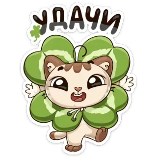 ☘ УДАЧИ 고양이, 클로버, 행운, 러시아어, 스티커 telegram sticker