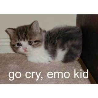 😿 go cry, emo kid gatito, emo, gato, triste, llorar telegram sticker