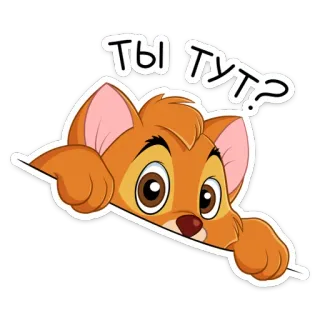 ❓ ТЫ ТУТ? mèo, động vật, hoạt hình, tiếng Nga, chữ, câu hỏi telegram sticker
