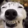 😁