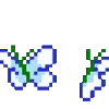 🦋