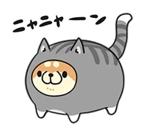 🐶 こャニャーン Katze, Hund, Tier, Kawaii, Süß, Aufkleber telegram sticker