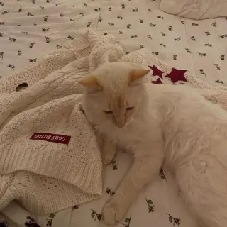 Больше стиков тут: @stikery4 whatsapp stickers
