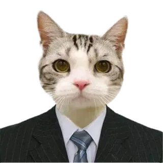 👨‍⚖️ 고양이, 정장, 동물, 비즈니스, 웃긴, 귀여운, 애완 동물 telegram sticker