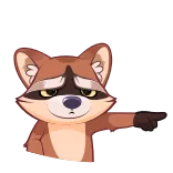 😠 Waschbär, Tier, Zeigen, Süß, Cartoon whatsapp sticker