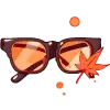 👓