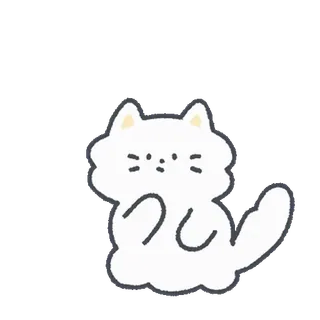 💬 chat, animal, mignon, blanc, autocollant whatsapp sticker