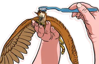 ☺️ bird, toothbrush, cleaning, eagle, grooming telegram sticker