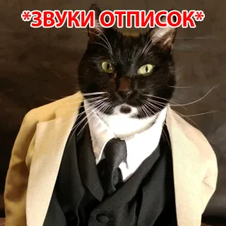 😟 *ЗВУКИ ОТПИСОК* 猫, スーツ, ミーム, 面白い, 動物, タキシード telegram sticker