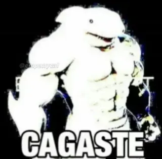 😡 CAGASTE Requin, Musclé, Meme, Cagaste, Animal telegram sticker