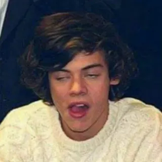 🐚 Harry Styles harry styles, sänger, one direction, promi, popstar, musiker telegram sticker